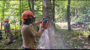 Improve Habitat